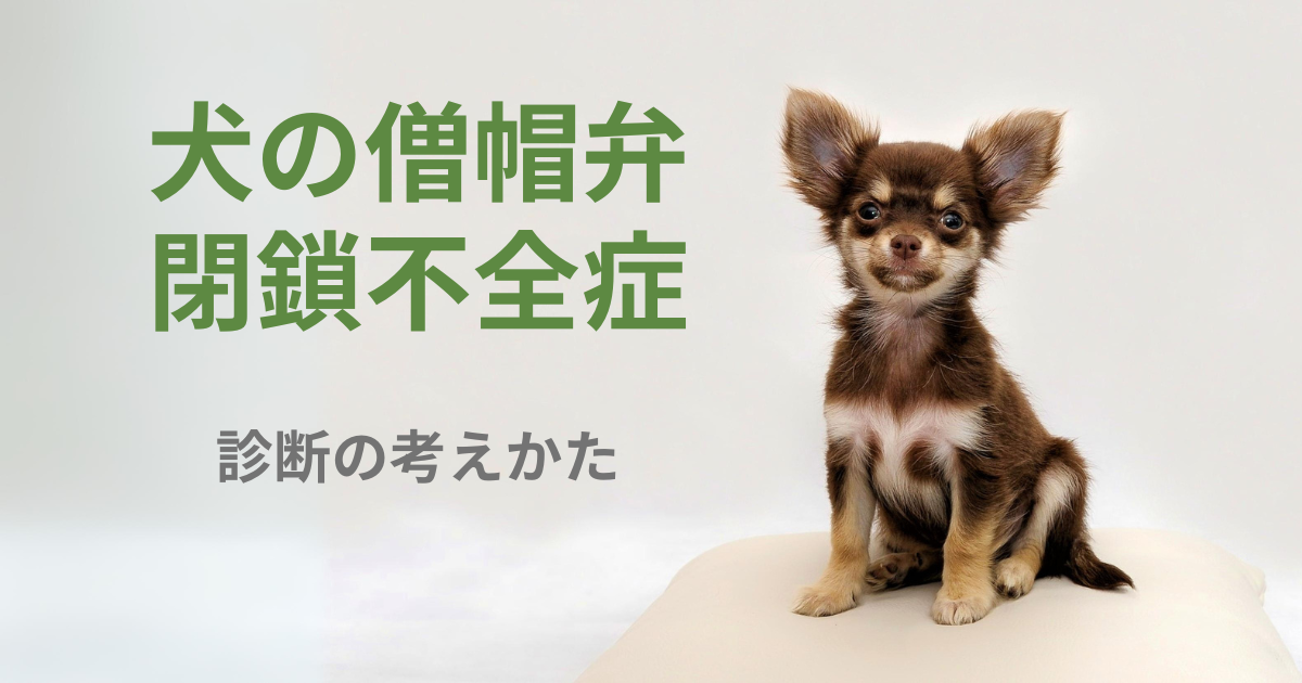 犬の僧帽弁閉鎖不全症の診断の考えかた